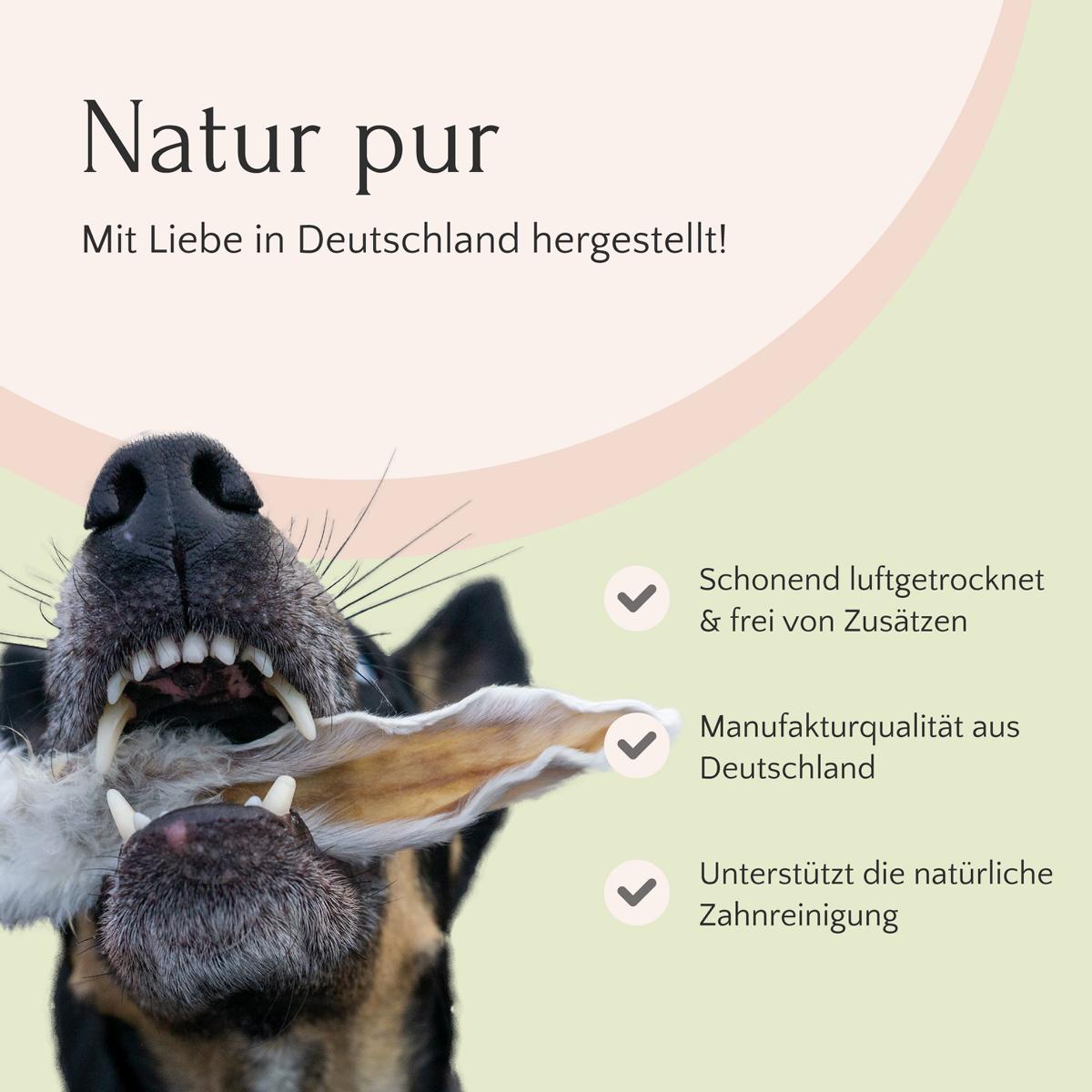 Ein Hund beißt in ein Stück Ziegenkopfhaut 600 g von FAVLY Petfood mit deutschem Text über Herstellungsqualität und natürliche Kauartikel.