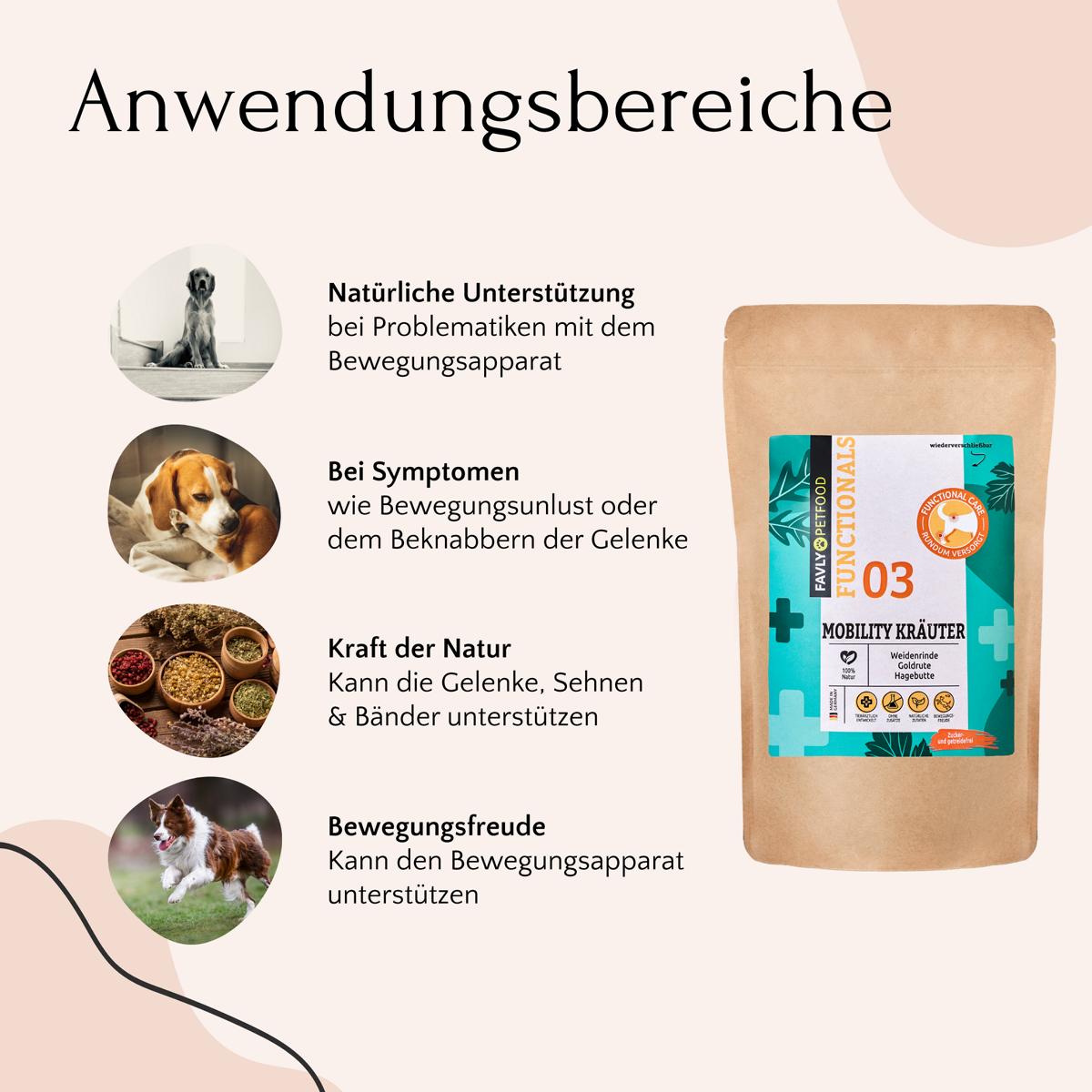 Bild zeigt eine Packung „Kräuter-Set + Dosierlöffel“ von FAVLY Petfood mit natürlichen Kräutermischungen sowie Symbolen und Text auf Deutsch, der seine Vorteile für die Gelenkunterstützung und das Wohlbefinden des Hundes beschreibt.