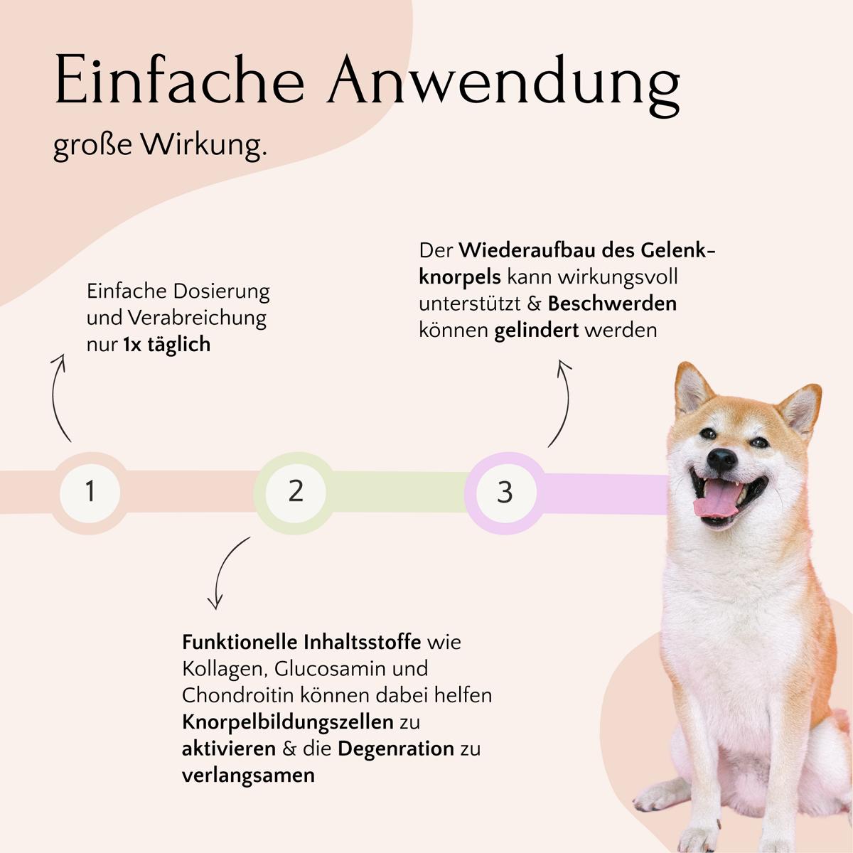 Ein Diagramm zur Gesundheit des Kniegelenks mit dem Titel „Gelenkgesundheit“, das einen dreistufigen Prozess mit einem Shiba Inu-Hund auf der rechten Seite beschreibt und das MOBILITY Pulver – Gelenke & Mobilität von FAVLY Petfood zeigt.