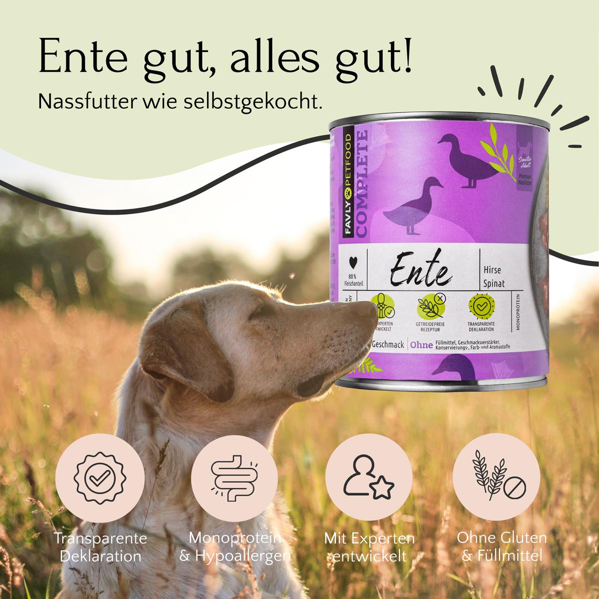 Ein Golden Retriever schnuppert an einer Dose FAVLY Petfood in lila Verpackung, umgeben von Symbolen und einem deutschen Text über das Produkt Nassfutter Ente mit Hirse & Spinat 400 g.