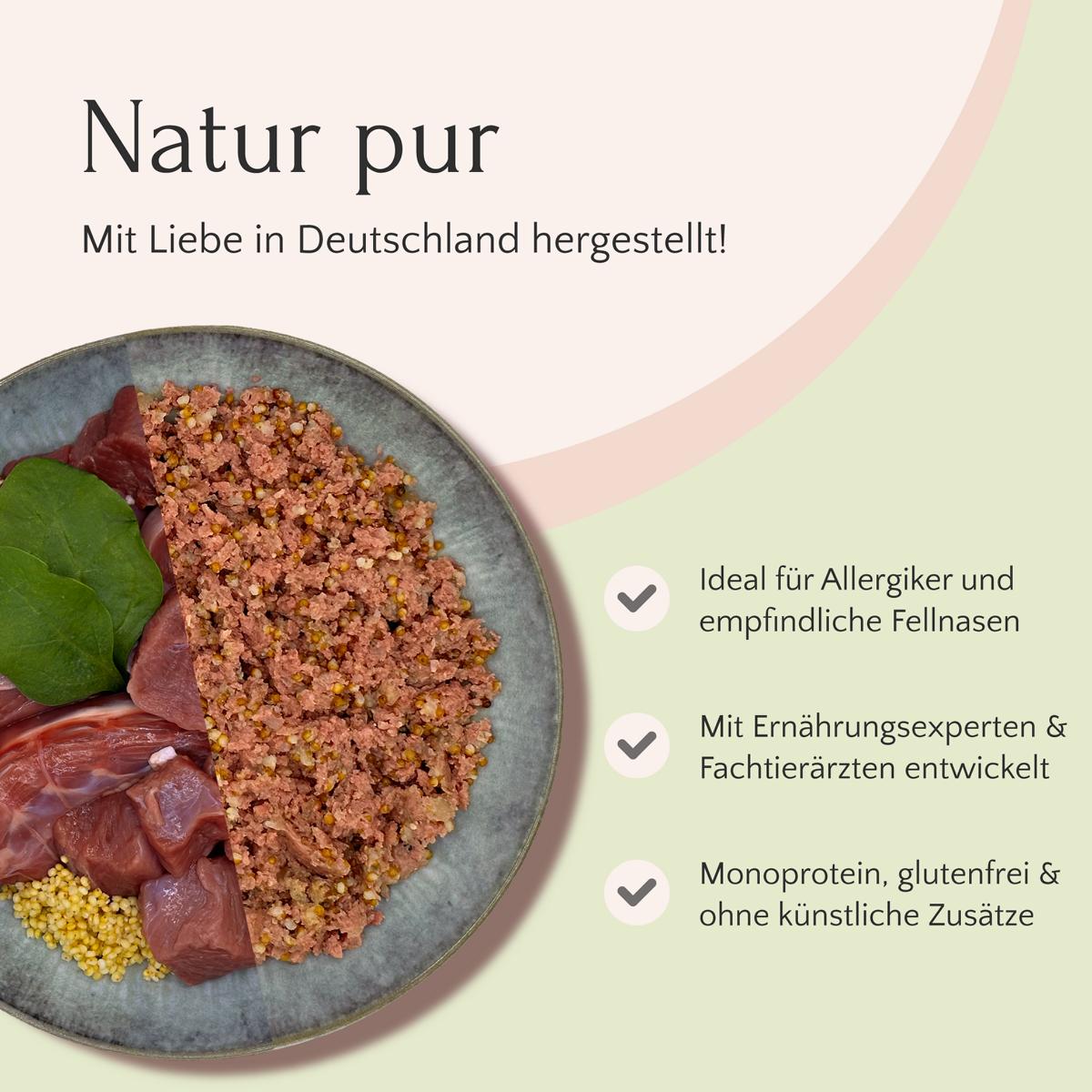 Eine Schüssel Nassfutter Ente mit Hirse & Spinat 400 g von FAVLY Petfood, mit natürlichen Monoprotein-Tierfutterzutaten und einem deutschen Text, der Vorteile wie Allergiefreundlichkeit und Glutenfreiheit hervorhebt.