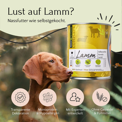 Ein brauner Hund neben einer Dose Nassfutter Lamm mit Süßkartoffel & Karotte 800 g von FAVLY Petfood mit deutschem Text auf grün-beigem Hintergrund.