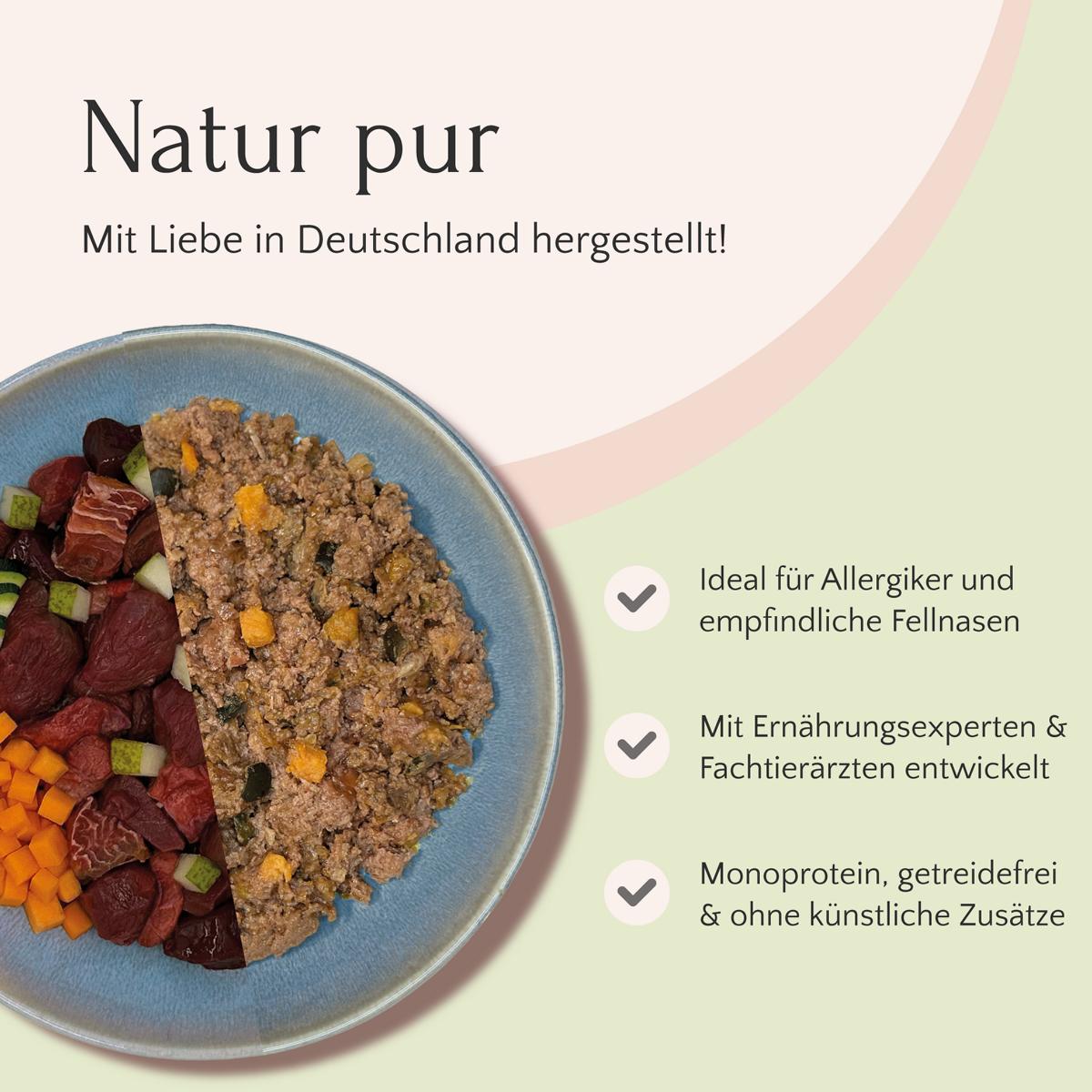 Eine Schüssel Nassfutter Pferd mit Zucchini, Süßkartoffel & Birne von FAVLY Petfood, 800 g, unterteilt in Abschnitte, mit Text in deutscher Sprache, der die Vorteile und Eigenschaften des Produkts beschreibt. Diese Monoprotein-Hundemahlzeit ist außerdem getreidefrei und allergikerfreundlich.