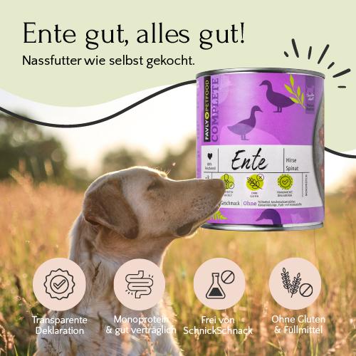 Ein Hund sitzt im Gras von FAVLY Petfood Ente mit Hirse, Birne & Spinat, Hervorhebung Monoprotein glutenfrei.