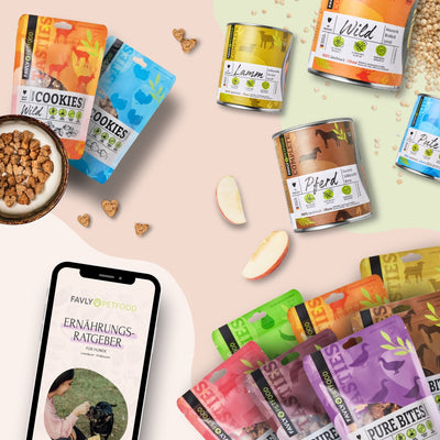 FAVLY Nassfutter & Snacks Probierbox-Pakete und Leckereien werden neben einem Smartphone mit einem Ernährungsratgeber für Haustiere angezeigt, in dem die an Monoprotein reichen Nassfutter-Optionen von FAVLY Petfood für eine ausgewogene Ernährung hervorgehoben werden.