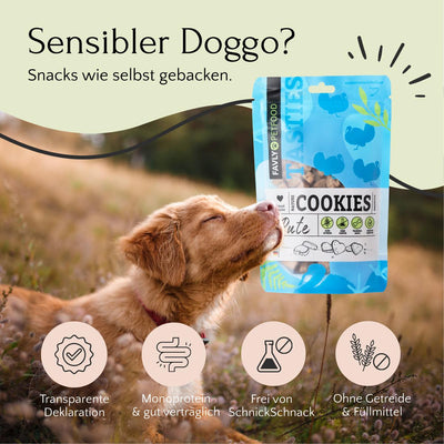 Hund genießt den Duft von Keksen, mit Leckerli-Tüte und Symbolen, die die Produktvorteile in deutschem Text beschreiben. Diese getreidefreien Nature Cookies Pute von FAVLY Petfood werden mit natürlichen Zutaten für einen gesunden Snack hergestellt.