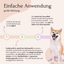 Infografik: Anleitung für das Bauchwohl Set von FAVLY Petfood, Shiba Inu rechts, Infos zur Hundeverdauung.