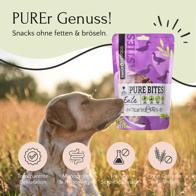 Ein Hund auf einer Wiese betrachtet eine Tüte „PURE Bites Ente“ Hundesnacks von FAVLY Petfood. Der Text auf Deutsch hebt Produkteigenschaften und natürliche Zutaten hervor.