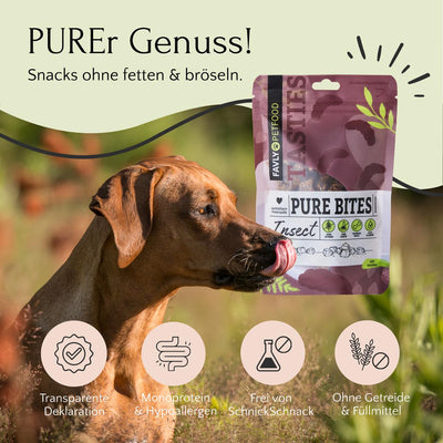 Hund leckt sich die Nase vor der Snacktüte PURE Bites Insect von FAVLY Petfood; Symbole und Text erläutern die Produktvorteile auf Deutsch und heben die hypoallergene Proteinquelle von Natürliche Zutaten hervor.