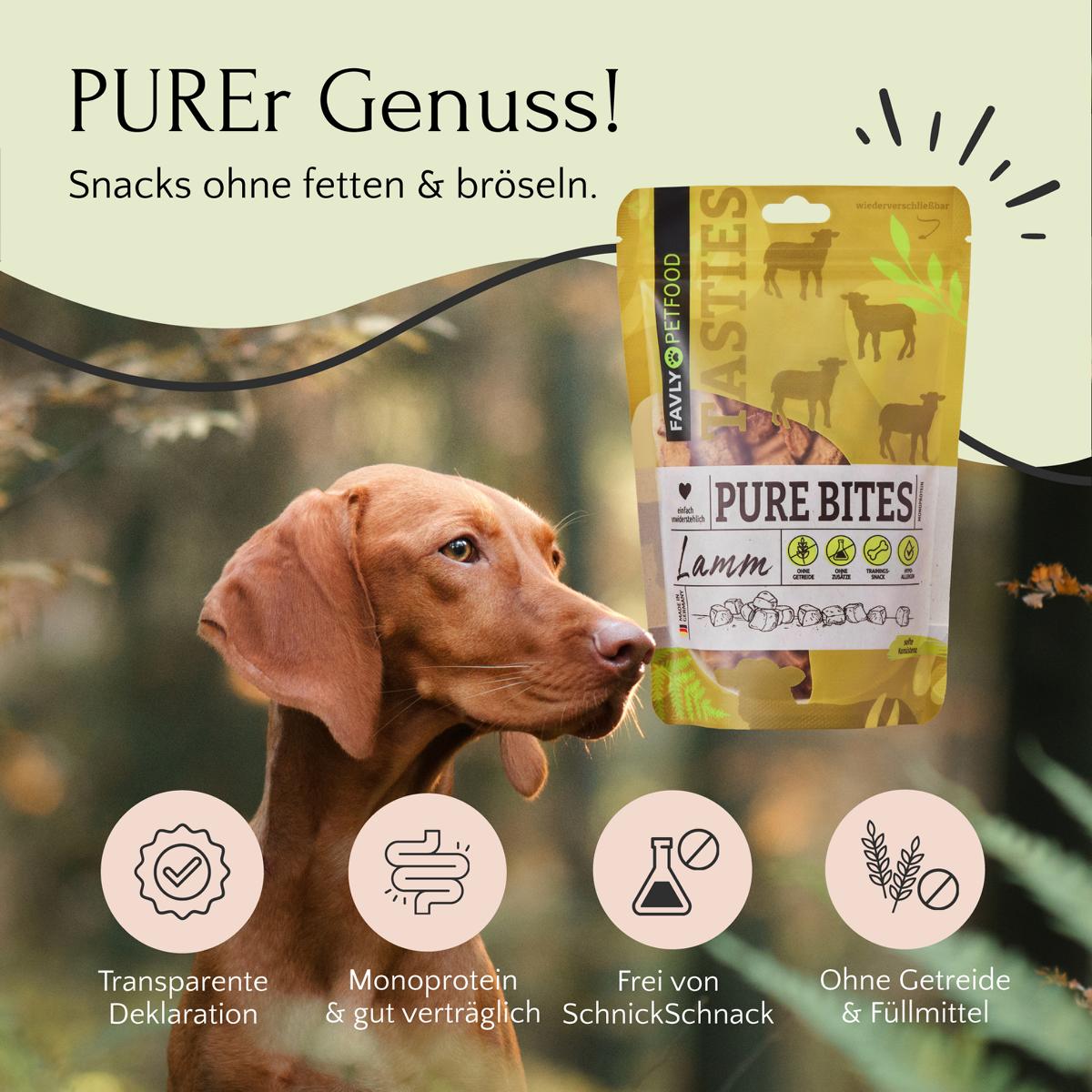 Ein Hund mit einer Tüte „FAVLY Petfood PURE Bites Lamm“-Snacks und Symbolen, die Produktvorteile wie Monoprotein, getreidefreie Hundesnacks und Volldeklaration hervorheben.