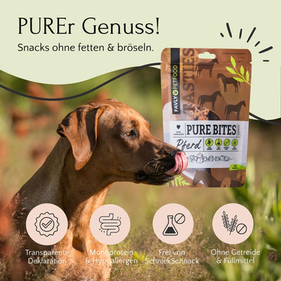 Hund mit ausgestreckter Zunge vor dem Snackpaket FAVLY Petfood PURE Bites Pferd. Bildunterschrift: „PUREr Genuss! Snacks ohne Fetten & Bröseln, mit natürlichen Zutaten.“