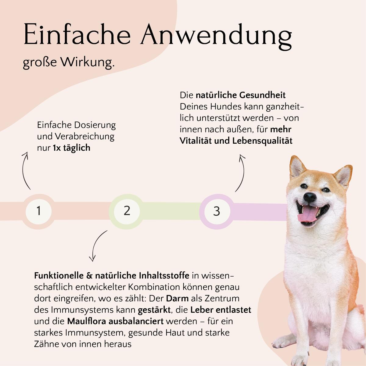 Infografik zum Fit & Vital Bundle von FAVLY Petfood: Hundepflege & Zahnpflege im bunten Kreisdiagramm.