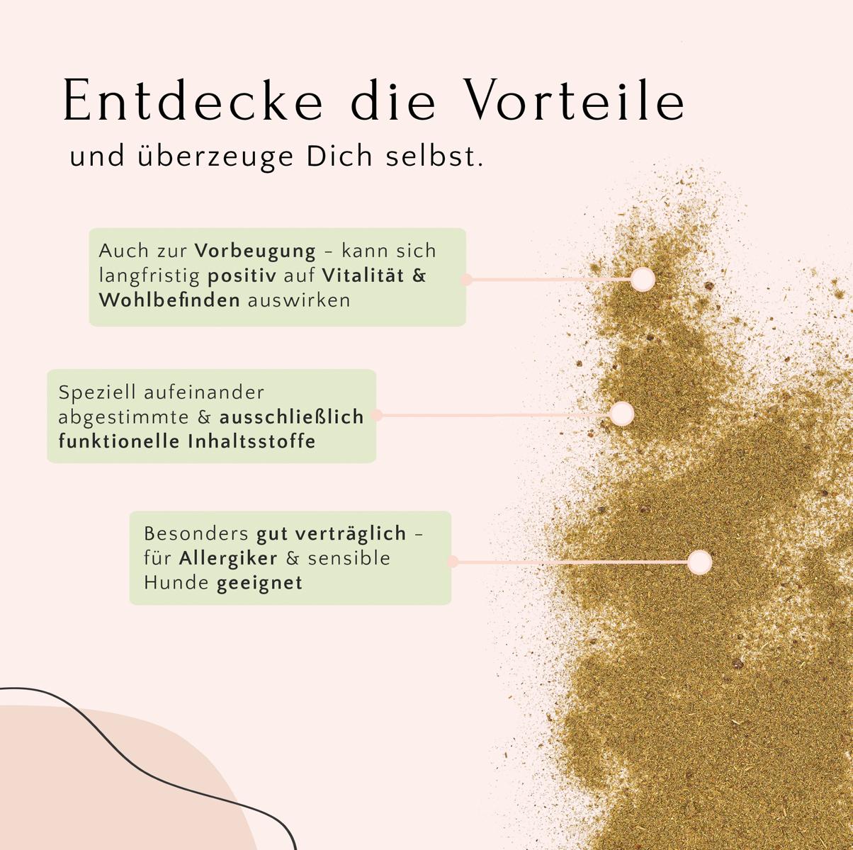 Infografik zum Fit & Vital Bundle von FAVLY Petfood: Sandpulver, grüne Boxen & Zahnpflege-Tipps für Hunde.