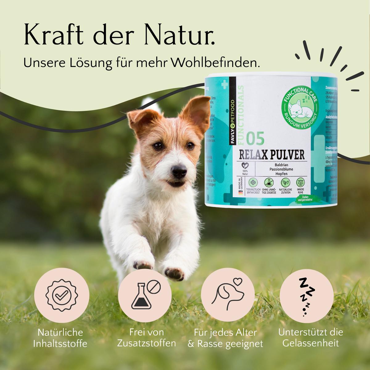 Ein Hund sprintet freudig über das Gras und verkörpert die Gelassenheit von FAVLY Petfoods Relax Pulver – Unruhe & Stress, angereichert mit beruhigenden Kräutern.