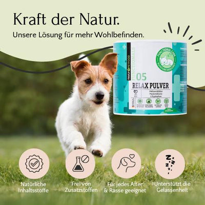 Ein kleiner Hund läuft im Gras; Relax Pulver - Unruhe & Stress von FAVLY Petfood und Wellness-Symbole erscheinen über dem deutschen Text.