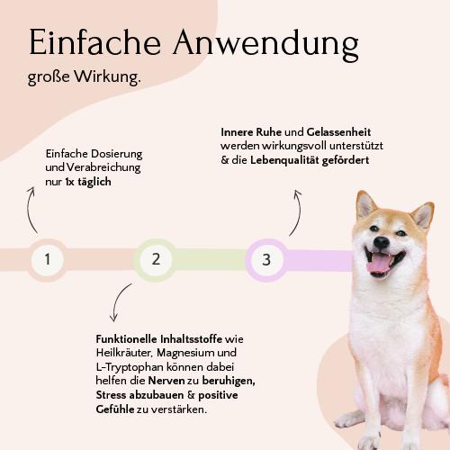 Neben dem Bild eines glücklichen Hundes sind Informationen zur stresslindernden Wirkung des Relax Pulver – Unruhe & Stress von FAVLY Petfood zu sehen, wobei die Dosierungsanleitung für dieses beruhigende, mit Heilkräutern hergestellte Ergänzungsmittel hervorgehoben wird.