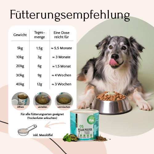 Ein glücklicher Hund sitzt neben einem Futternapf, einer Dosierungstabelle und FAVLY Petfood Relax Pulver - Unruhe & Stress zur Orientierung.