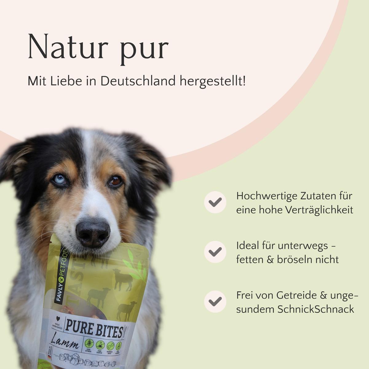 Ein Hund, der eine Tüte mit „PURE Bites Rind“-Leckerlis von FAVLY Petfood im Maul hält, mit Text und Symbolen, die die Eigenschaften „getreidefrei“ und „natürliche Zutaten“ hervorheben.