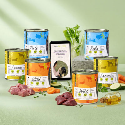 Sechs Dosen FAVLY Petfood Probierpaket "Nassfutter" mit Fleisch und Gemüse auf grüner Oberfläche.
