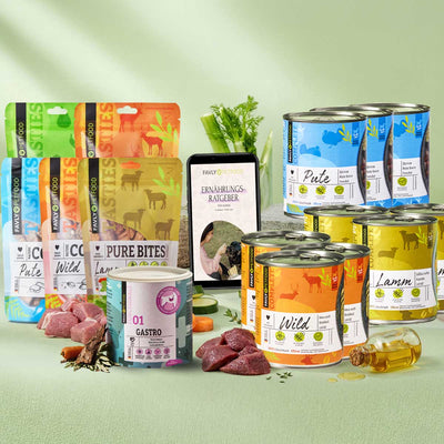 FAVLY Petfood Probierpaket "Starter": Monoprotein Nassfutter, Leckerlis & Guide auf grünem Untergrund.