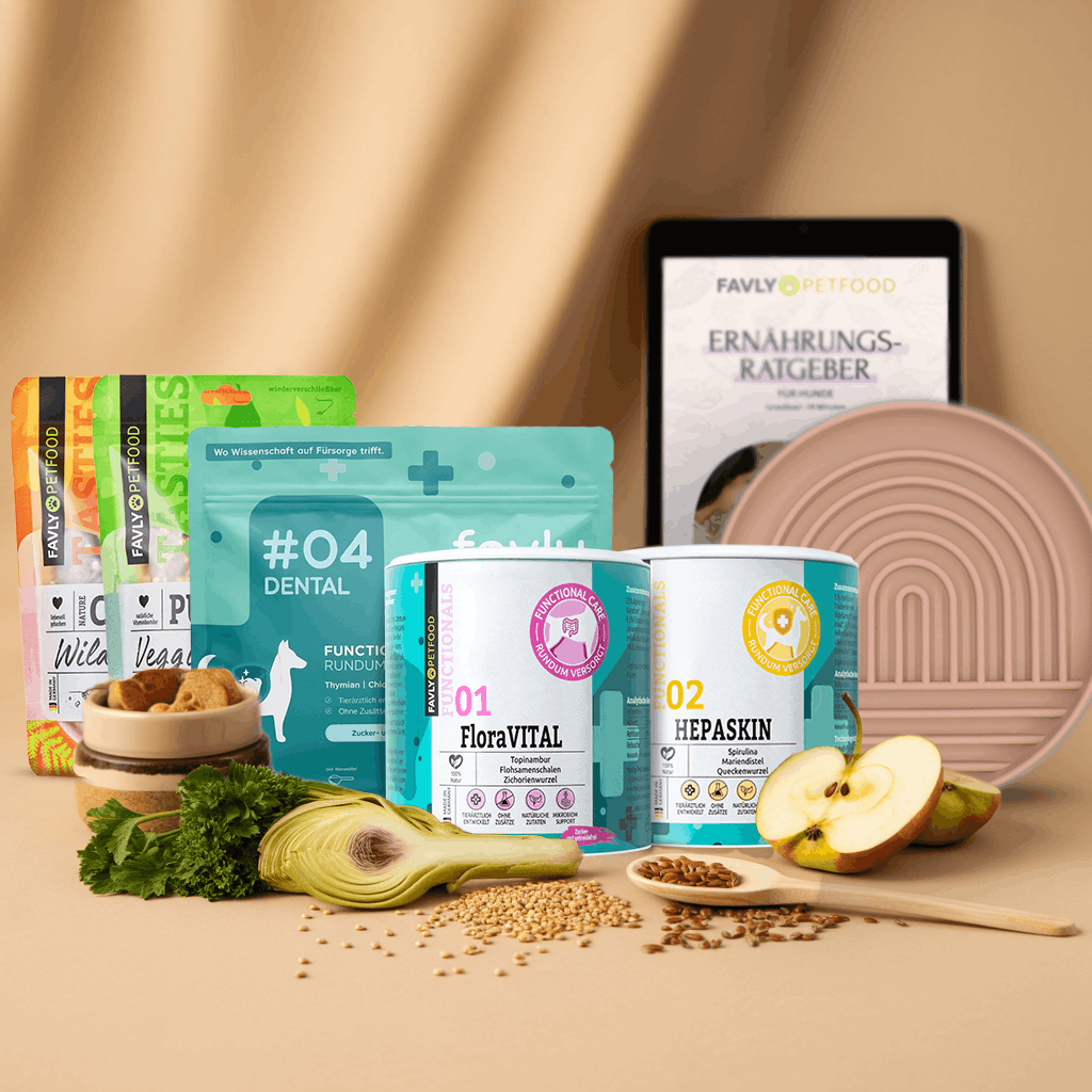 Mundgeruch, Juckreiz, Verdauung: FAVLY Fit & Vital Bundle – 46 % günstiger