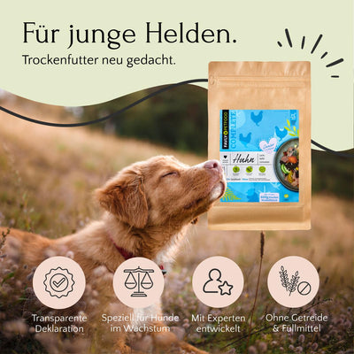 Ein Hund sitzt friedlich neben einer Packung Junior Trockenfutter Huhn mit Lachs, Apfel & Leinsamen von FAVLY Petfood, mit deutschen Texthervorhebungsfunktionen für heranwachsende Hunde und seiner getreidefreien Rezeptur.