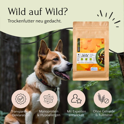 Ein Hund mit braunem und weißem Fell sitzt neben einer Tüte FAVLY Petfood mit der Aufschrift „Trockenfutter Wild mit Pastinake, Preiselbeeren & Kokos“ und einer getreidefreien Rezeptur, ideal für ernährungssensible Hunde.