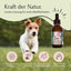 Kleiner Hund läuft draußen mit FAVLY Petfood ZecOFF – für Hundehaut & Zecken, plus Symbole für pflanzliche Vorteile.